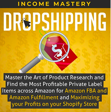 drop shipping book image